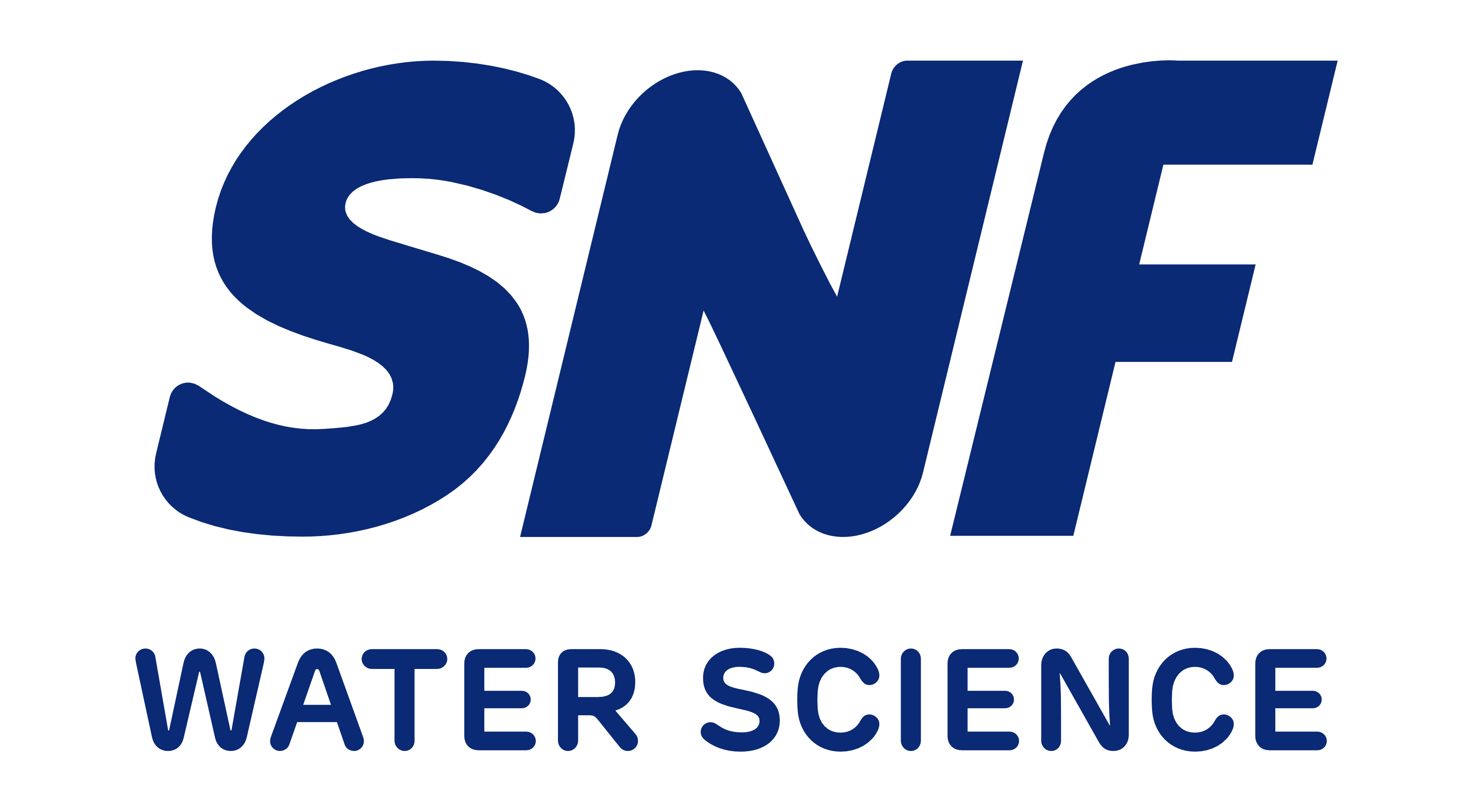Logo SNF